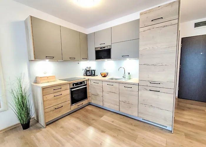 B 406 By Interhome コウォブジェク